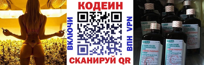 Купить закладки  Алзамай  Кодеин Purple Drank 